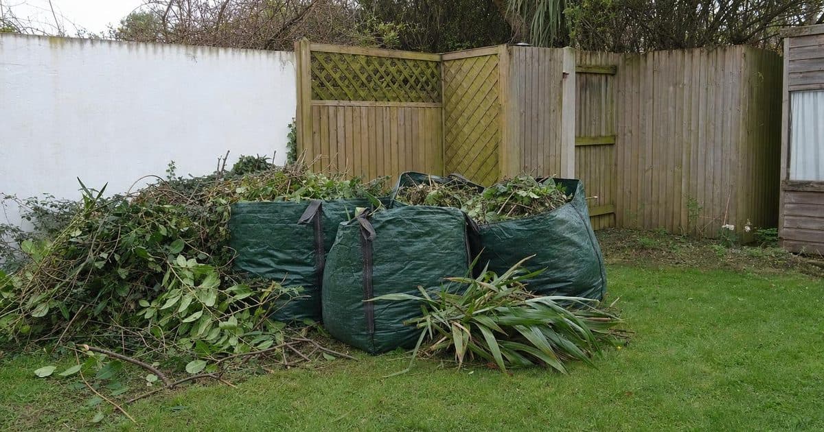 Brighton garden waste bin vs garden clearance: costs and rules